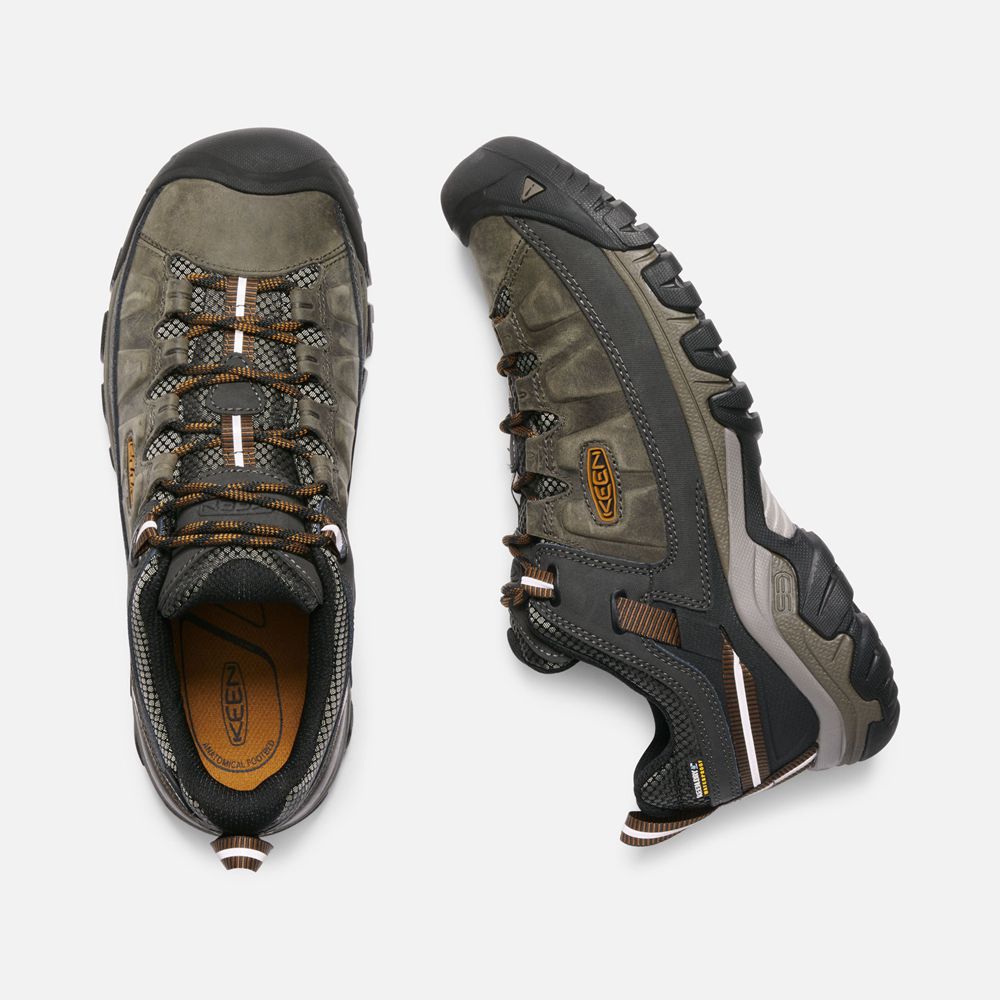 Keen Outdoor Ayakkabı Erkek Zeytin Yeşili/Siyah - Targhee Iii Waterproof - Türkiye AMLQ50473